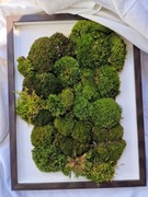 Moss a Cross , obraz z mchu