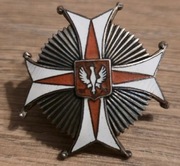 Odznaka 22 Pułk Ułanów Podkarpackich A Panasiuka 