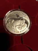 Srebrna moneta 20 zł Foka Szara z serii Zwierzęta Świata 2007