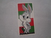 Vlepki Zagłębie Sosnowiec #29