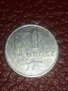 1 grosz alu 1949r.
