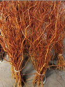 gałązki do dekoracji do wazonu do wianków stroików