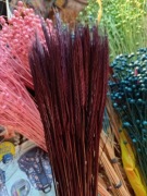 żyto zboże suszone naturalne palmy brązowy 