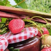 Dżem rabarbarowo - truskawkowy, niskosłodzony 400g {3,50zł/100g}