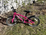 Rower Frog 44 Pink 9" 2022 (16'' (305 mm))