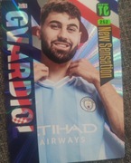 Karta Top class 2024 252