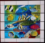 Malediwy  ryby morskie