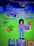 Pet Go, sprzedam Huge + 2 pety na zajęciach