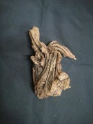 Korzeń naturalny, ozdobny, do akwarium, terrarium, Nr 2