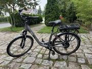 Ecobike City L PRO 26’’ Grey