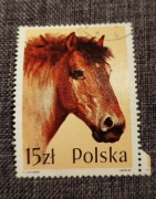 Znaczek pocztowy koń 