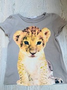 T-shirt H&M bluzka tygrys kot 2-4 lata + GRATIS