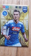 Fifa 365 2020 Limited Milik