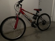 Rower Pegas Mountain Bike Collection.