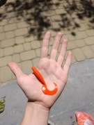 Twistery szczupakowe 