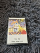 UB 40-rat in the kitchen 