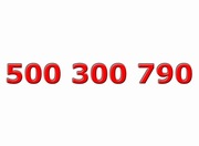 Złoty numer ____ 500 300 790 ____ Platynowy - ViP