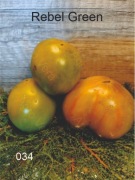 034-Rebel Green. Pomidory kolekcjonerskie.