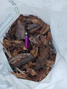 Kora sosnowa gruba 80 l