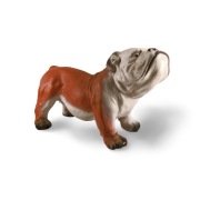 Figura Dekoracja Buldog Prawdziwy Duży