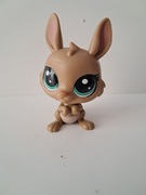 Littlest Pet Shop LPS kangur