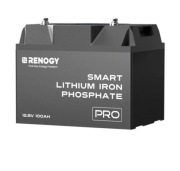 Renorgy 100ah Smart