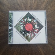 BYZANTIUM Seasons Changing UK 1973 CD  unofficial psych prog rock