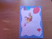 Karteczki do segregatora kartka A5 do albumu Kubuś Puchatek Disney 