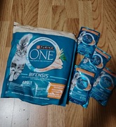 Karma dla kota PURINA ONE Bifensis Adult Kurczak 1.5 kg + 4 saszetki x85g