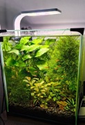 AQUAEL LEDDY Smart 2 Plant , Moc 6W, kolor biały