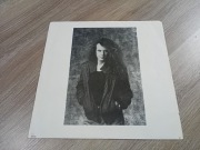 Ted Nugent -If you can't lick 'em ....lick 'em wkładka z tekstami do płyty 