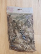 Piórko ozdobne ptasie