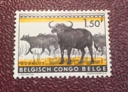 Znaczek Kongo belgijskie