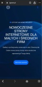 Nowoczesna Strona Internetowa | Szybka Realizacja