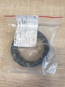 9H-6454: USZCZELKA CAT