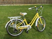 Rower Liv Flourish 24’