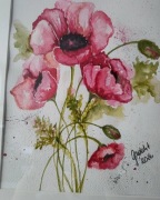 Akwarela Maki wraz z ramką