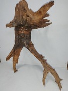 Rzeźba w Korzeniu Drzewa Drewno Twarz Zbój Pirat