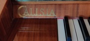 #######  PIANINO Calisia  ########