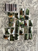 Zdjęcia transport angielski AGFA