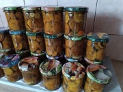 Podgrzybek Marynowany 