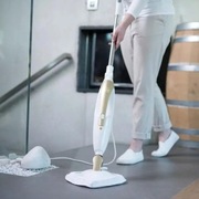 Livington mop parowy