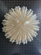 LAMPA SILLUX CORTINA LS P/221