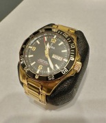 Zegarek Festina F20479 Diver - Kolor złoty