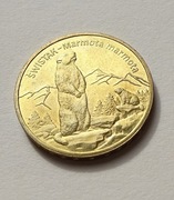 Moneta 2 zł Świstak Marmota marmota 2006