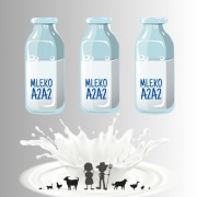 Mleko A2A2 od krów jersey 3 l + styroboks