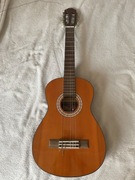 Gitara skyway premium edition