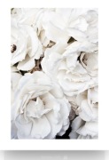 Plakat Desenio białe kwiaty 