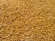 Piasek barwiony fi 1.0 mm-1.6mm terraria itp 1kg