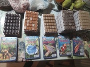 Mrożone pokarmy dla ryb.